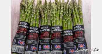 "Asperges met Brix van 10-11 de hoogste ooit gemeten"