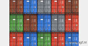 "Nog niet duidelijk wie kosten zullen dragen: Amerikaanse importeurs of Mexicaanse telers"