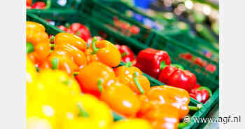 Vervroegd eind seizoen verwacht door kwaliteitsproblemen paprika's Almería