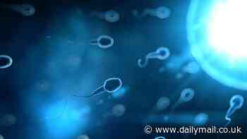 Men with better sperm quality live up to three years LONGER, study finds