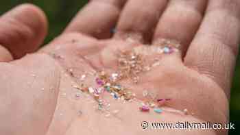 Toxic microplastics in the brain blamed on a product used by millions - experts reveal simple way to reduce exposure by 90 per cent