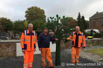 Glabbeek gaat haar gemeentelijk vlinderregister officialiseren