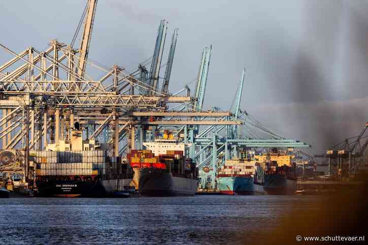 Rederij MSC neemt ECT en grote delen moederbedrijf Hutchinson over