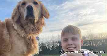 Distraught family of Sebastian Sailes break silence in emotional appeal