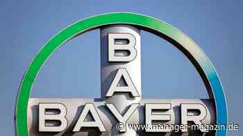 Bayer trennt sich von Monsanto-Veteran Bob Reiter
