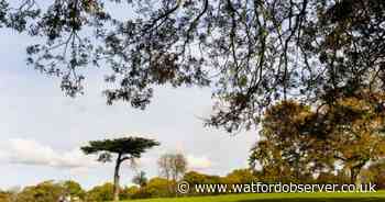 5 best parks to visit in Watford this spring