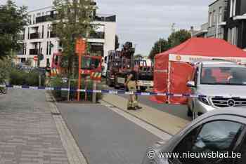 “Schandelijk dat daar geen aparte fietspaden zijn”: trucker (50) veroordeeld voor dodelijk ongeval waarbij fietsster (76) overleed