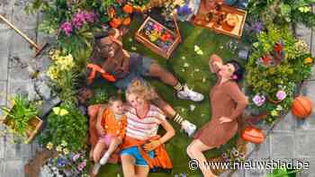 Wuustwezel neemt opnieuw deel aan Vlaams Kampioenschap Tegelwippen