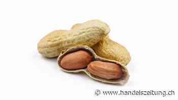 Roche schafft Durchbruch bei Food-Allergien