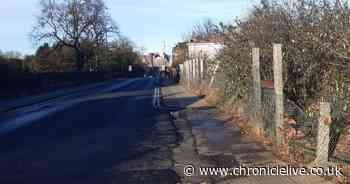 Sunderland townhouses and apartments to be built on 'blot on landscape' after plans approved