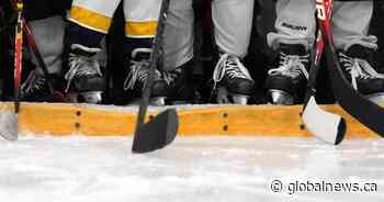 Ontario coach charged after ‘violent outburst’ over referee call during kids’ hockey game