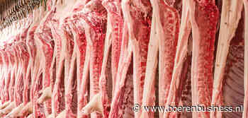 Hoe de strijd om varkens is losgebarsten in Nederland