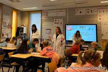 Cognitief sterk functionerende leerlingen Leonie, Emilia en Rosanne geven les aan het tweede leerjaar: “Toffe manier om te proeven van het beroep, en dat op ons dertien jaar”