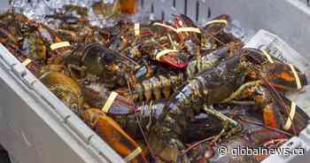 From lobsters to oil and gas: Maritime businesses unsure of U.S. tariff impact