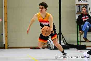 BASKETBABBELS. Olympia Denderleeuw mikt op promotie, Sint-Niklase Condors strikt versterkingen en Basics Melsele aan de rand van de afgrond