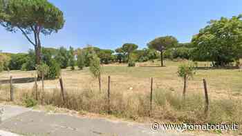 Casal dei Pazzi, l'area cani del parco Petroselli si rifà il look