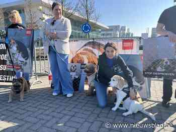 Animal Rights protesteert bij Johnson & Johnson tegen dierproeven: “Schande, schande, bloed aan je handen”