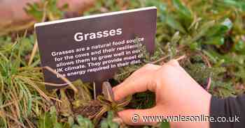 One in five Brits feel 'out of touch' with nature and trips outside are limited