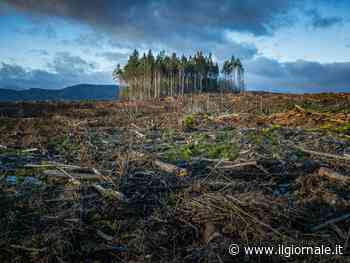 Danni per oltre 300 mld dollari da rischio climatico nel 2024, serve più copertura assicurativa