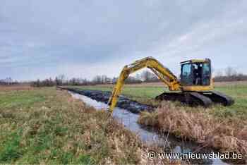 Regionaal Landschap herstelt ‘wetlands’ in Meirdamgebied