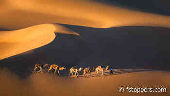 You Must Have This Skill as a Landscape Photographer