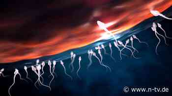 Bis zu drei Jahre laut Studie: Männer mit hochwertigem Sperma leben länger