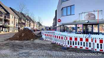 “Met die premie kan je niet veel compenseren”: Vredelaan kreunt onder werkzaamheden