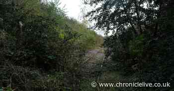 Leamside Line restoration defended amid 'vanity project' concern over huge North East rail dream