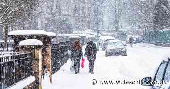 Met Office verdict as 'polar vortex collapse' raises fears of new cold snap in UK