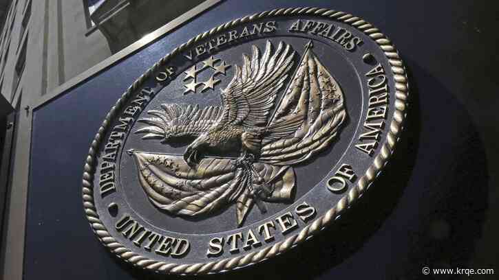 Trump admin plans to cut 80,000 employees from Veterans Affairs: internal memo