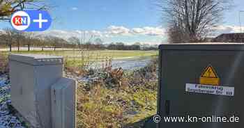 Norma in Fahrenkrug: Verhindern Bechstein-Fledermäuse die Baupläne?