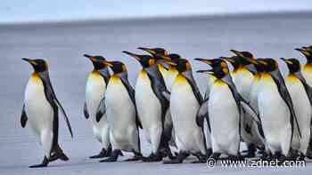 Seeking the latest in Linux? There's a right way and a wrong way to use  Distrowatch