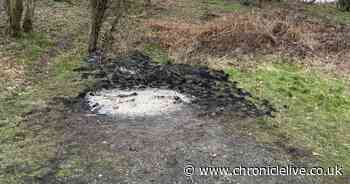 Memorial bench in County Durham set on fire in shocking scenes of anti-social behaviour