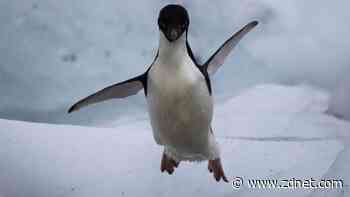 Why the Starship prompt is better than your default on Linux and MacOS