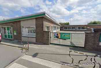 Lokale handelaars promoten hun zaak tijdens eerste Spring Festival