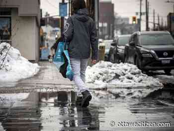 Polar vortex collapse? Not likely for Ottawa, says Environment Canada
