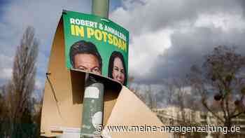 Linke und AfD legen in Umfrage nach der Bundestagswahl zu – Grüne werden durchgereicht