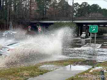 Storm damage pics: Trees and powerlines down, streets flooded