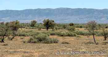 Big grazing block in the north is ready to go at $230 per acre