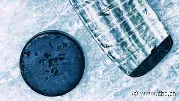 Timbits hockey coach charged after swearing, fighting with police ensued at game in Woodstock, Ont.