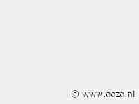 LIVE Webinars met Tischa Neve 2024…