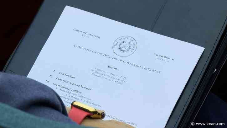 'Change is coming': Texas DOGE hosts first meeting