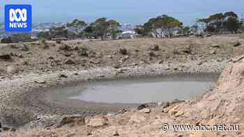 'Dirty uniforms': Families in Adelaide's south face water shortages