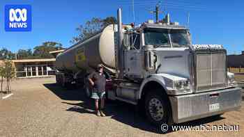 Dry dams leave SA farmers deciding to buy water or sell livestock