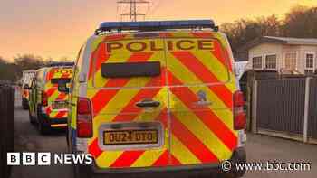 Boy, 12, interviewed in hare coursing inquiry