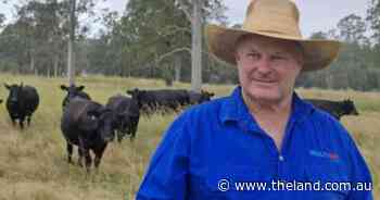 No one wants to see cattle washed out to sea this time around