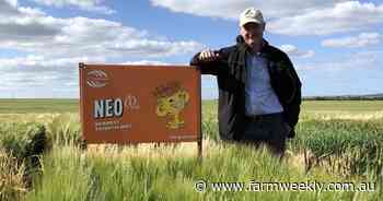 Neo CL and Cyclops receive accreditation just in time for the 2025 season