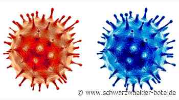 Am 6. März 2020 kam Corona in den Kreis Calw: Der Tag, an dem das Virus kam