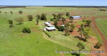 Negotiations continue on exclusion fenced, buffel grass property Noona