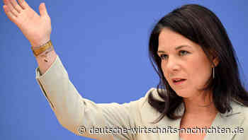 Von der Außenministerin zur Hinterbänklerin: Baerbock verzichtet auf Grünen-Fraktionsvorsitz - was steckt dahinter?